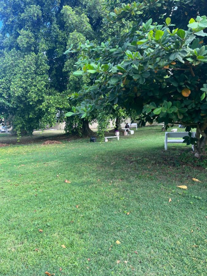 Comfort Rest Ocho Rios Exterior photo
